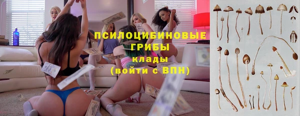 амфетамин Алексеевка